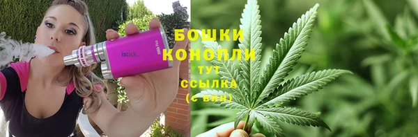 apvp Вяземский