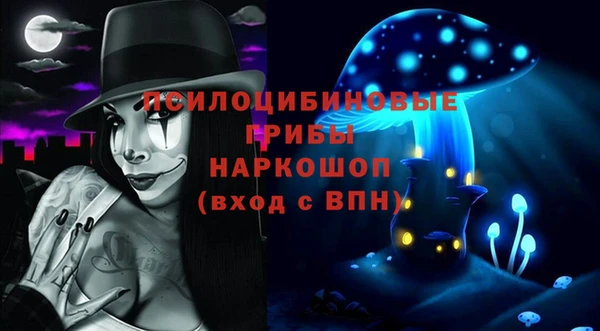 молекула духа Вязьма