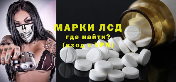 apvp Вяземский