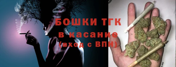 apvp Вяземский