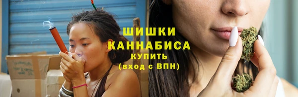 apvp Вяземский
