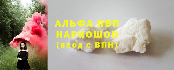 apvp Вяземский