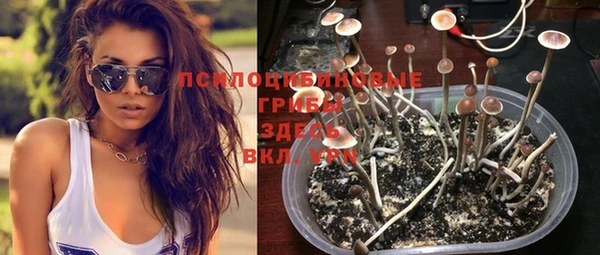 apvp Вяземский