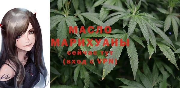 молекула духа Вязьма