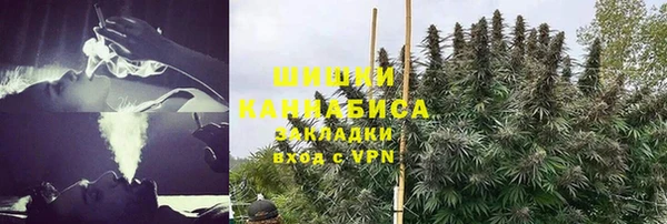 apvp Вяземский