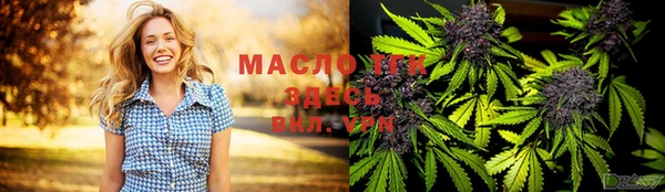 apvp Вяземский