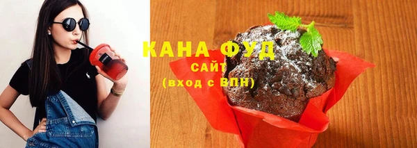 молекула духа Вязьма